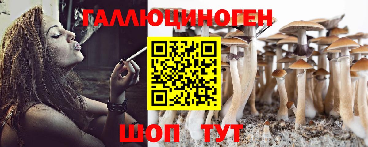 Клин  Псилоцибиновые грибы мухоморы  Вход с VPN 